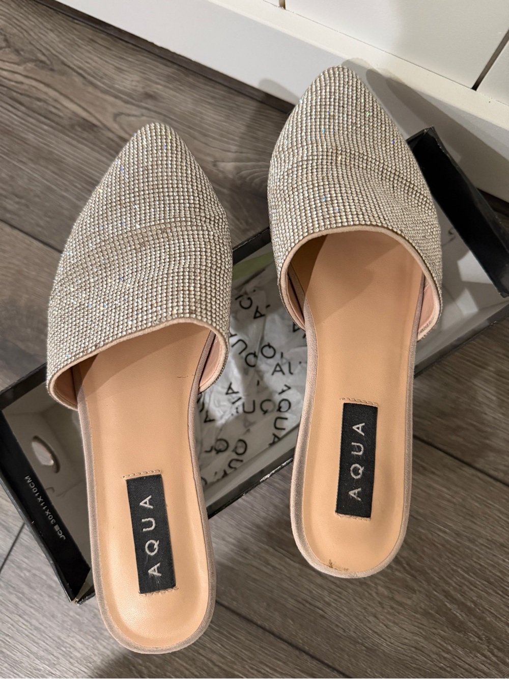 Aqua Rhinestone Pointed-Toe Slip-On Mules in Silver